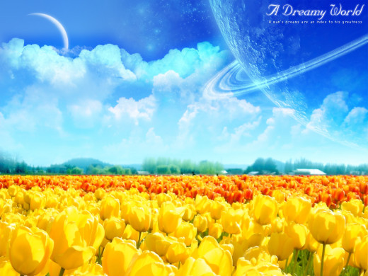 314525 (a): :1024x768